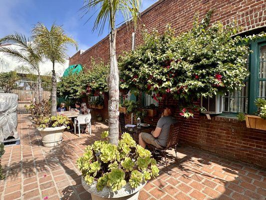 Back patio area