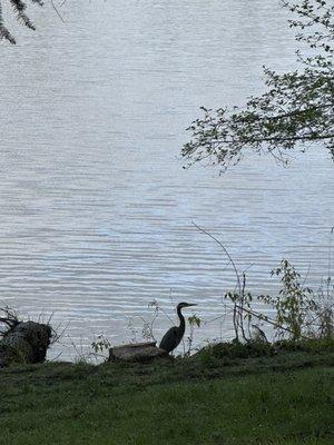 Spanaway Park