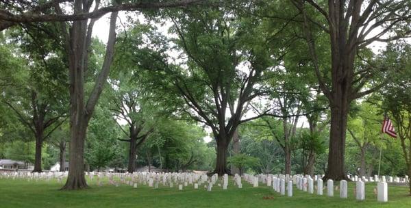 Over 7,600 flags put out by volunteers