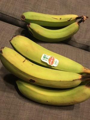 These bananas are still green nine days after I bought them.