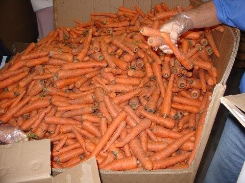 carrots!!!