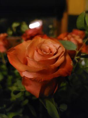 1/12/2022 - I managed to get some pretty gorgeous clearance roses thanks to Fred Meyer. The vase filler was more expensive than the flora.