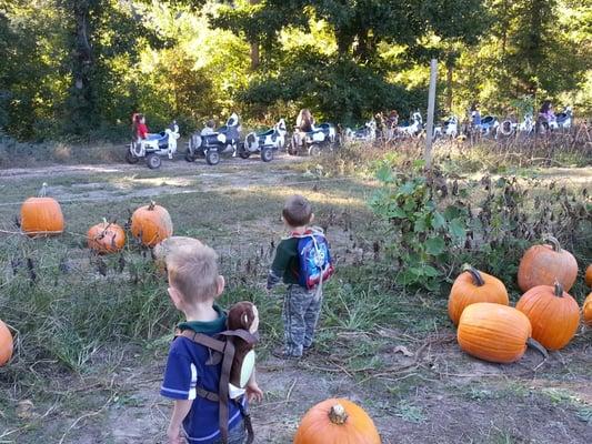 In the background is the cow train kids can ride