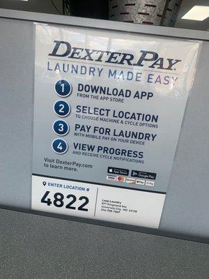 Delmar Loop Laundry