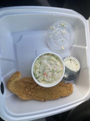 Catfish and coleslaw