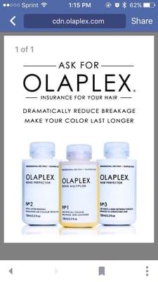 Olaplex available at Ellie's Hair Studio