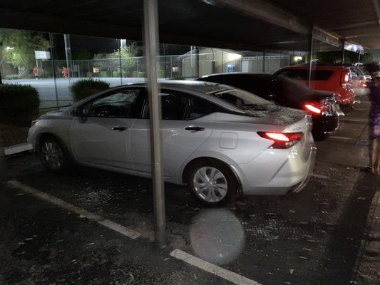 Crazy situation in which neighbor car was damaged police called and the glass stayed on the ground for days.