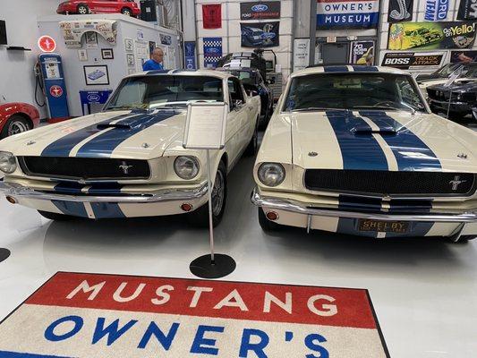 Two Mustang Shelby's. One is a true one, the other a tribute clone.