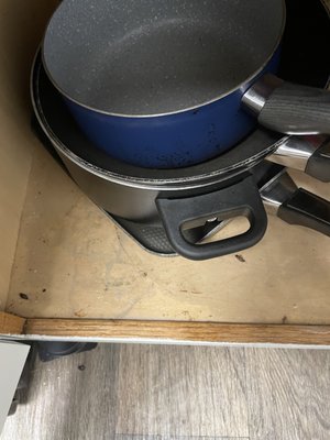 Roaches in cabinets where cookware is kept