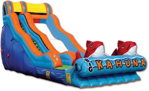 BIG KAHUNA  The Big Kahuna slide is perfect for little beachcombers and surfers at your next party.