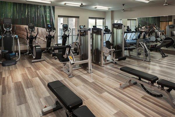 Expansive fitness area with state-of-the-art cardio equipment