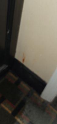 Worms in wall