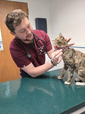 Lincoln Square Veterinary Hospital