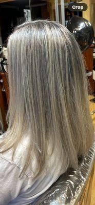 The New Silver Blonde