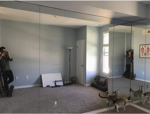 Mirrors for the exercise room