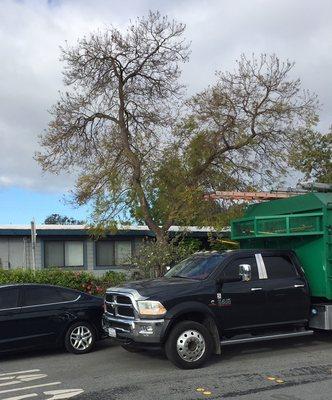 Espinoza Tree Service