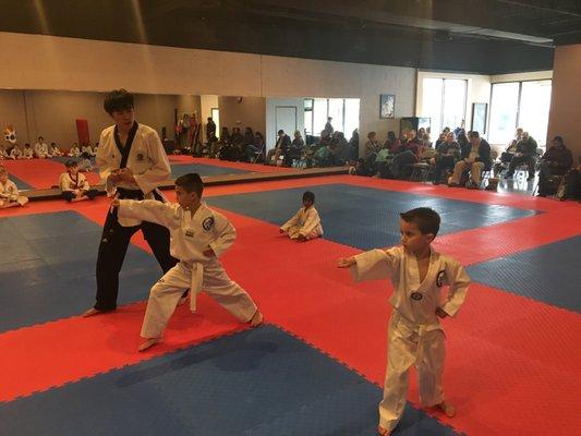 Jeong's Taekwondo Martial Arts - Class