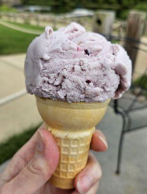 Blackberry ice cream cone