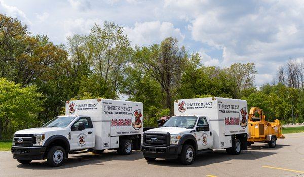 Timber Beast Tree Service