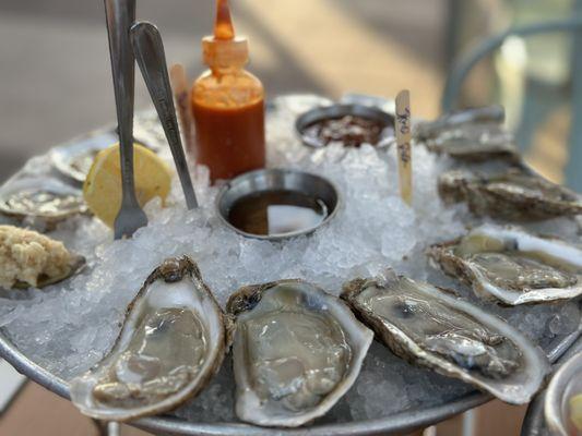 East Coast oysters