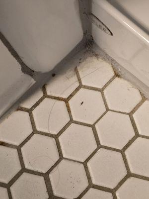 Bathroom floor