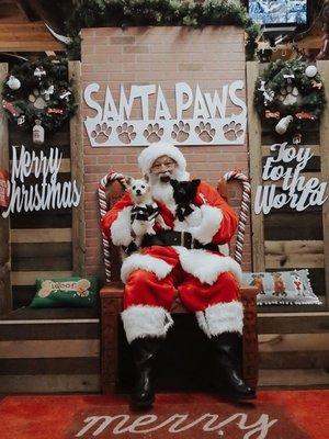 Santa