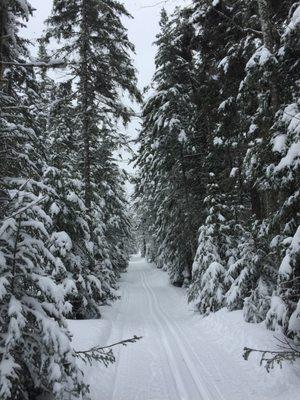 Incredible xcountry ski day - 3/23/19