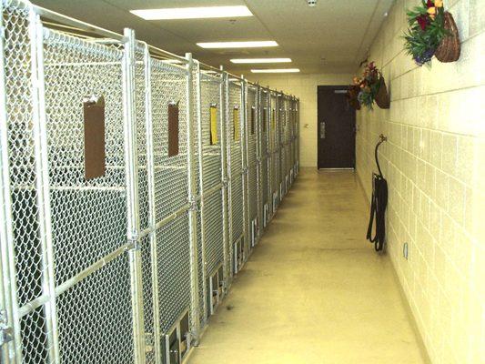 One of the three boarding areas offered at Harmony Pet Clinic.