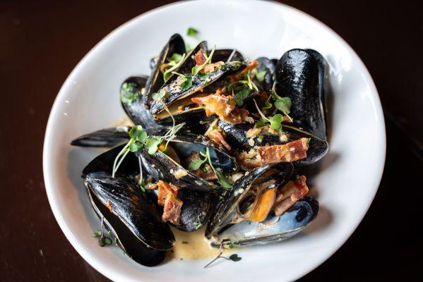 Sautéed Mussels - Mussels, bacon, delicata squash, tarragon-dijon cream sauce