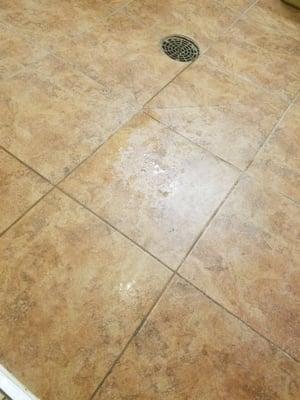 Yes, that's water running in the drain in the middle of the floor.