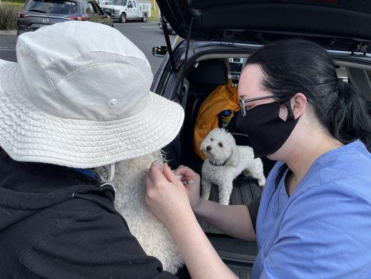 Vet Care's Mission Viejo Animal Services Drive-Thru vaccine clinic!