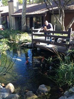 Best part after dentist visit, we get to feed the koi's in the pond!  Thank you Dr Pimentel!