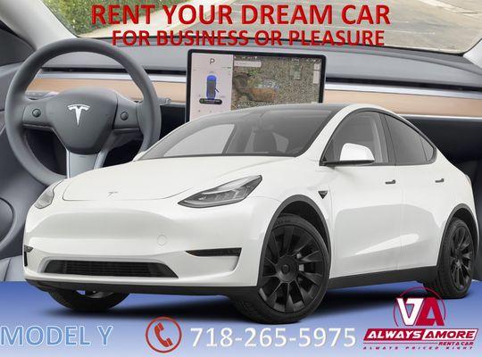 Model Y For Rent