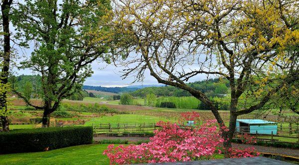 One of the many amazing views from the Ranch House.