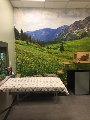 Our cat only Meadow exam room with calming outdoor mural and fun cat shelves to explore during a visit.