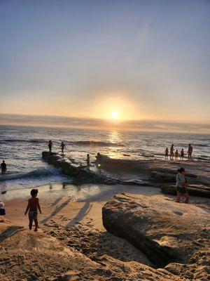 La Jolla Tide Pools