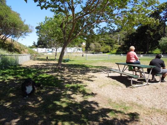 Del Rey Oaks Dog Park, Del Rey Oaks, CA.