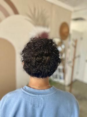 Back view of top perm