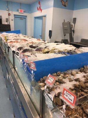 Whole fish on display