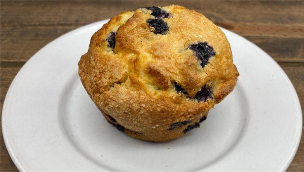 Gluten Sensitive Blueberry Muffin