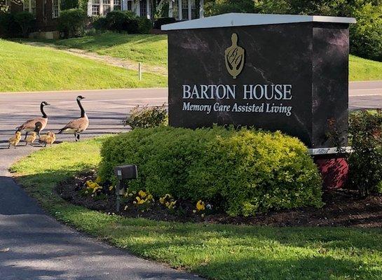 Barton House Memory Care