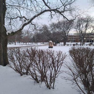 Winter at NIU