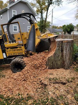 Grinding out a Very Large Stump!!