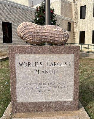 Make sure you see the peanut. Plan on spending  15 to 20 seconds.