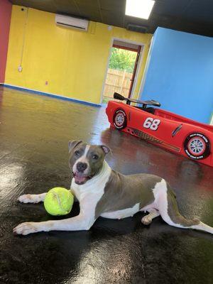 Just chilling with my ball before I hop in the race car and pretend I'm a NASCAR driver!