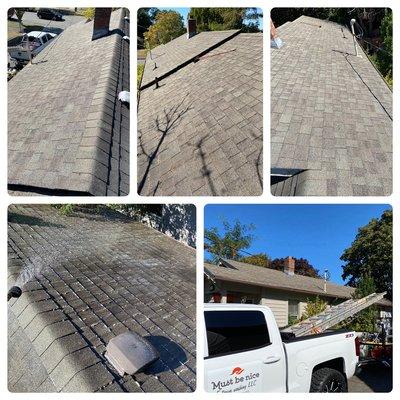 Roof cleaning and treatment