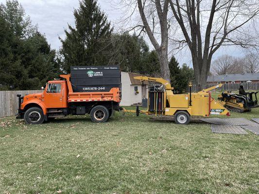 Tree service