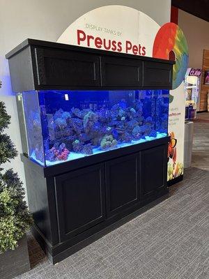 Aquarium in Theater lobby