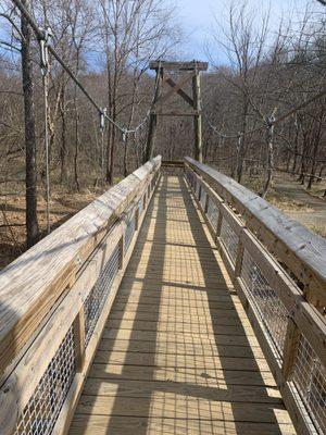 Suspension bridge