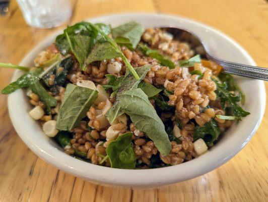 Anson Mills Farro Piccolo Salad. $13. Red onion vinaigrette, sweet corn, Provolone, cherry tomatoes.